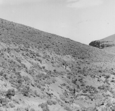 1950s Nevada Ghost Town Queen City Old Paradise Courts Mining Ruins Desert Scene