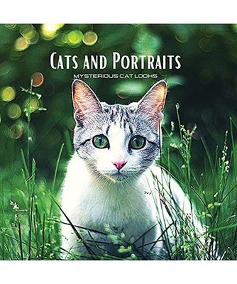CATS and PORTRAITS - Mysterious Cat Looks: Cat-themed colour photo album. Gift i