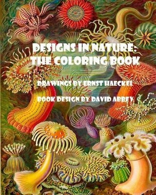 Ernst Haeckel David Abbey Designs in Nature (Paperback)