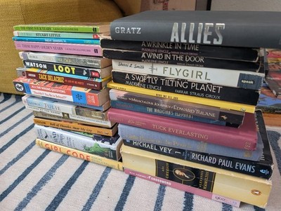 Lot of 28 PLUS ( I added more) Assorted Books, A little bit of everything...