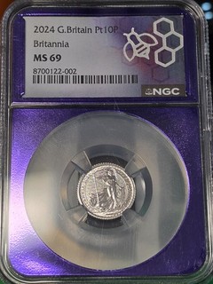 2024 NGC MS 69 Great Britain PT10P Britannia 1/10 .9995 PLATINUM PT is 🔥