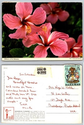 Vtg 1973 Bahamas Hibiscus Flowers Postcard John Hinde San Salvador Posted