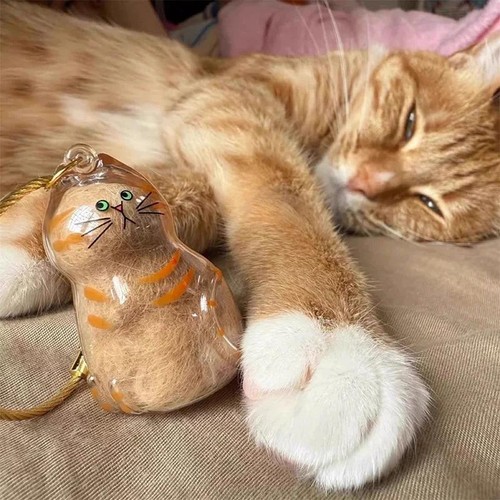 Niedliche Katze SchlĂŒsselanhĂ€nger Mini Aufbewahrungsbox AnhĂ€nger Rucksack Charm Tierhaar Halter Geschenk - Bild 21 von 31