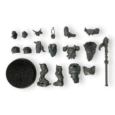 Wolf Scouts RUNE PRIEST SKJALD Model Space Wolves Marine Kill Team 40K