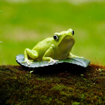 Harz Tierskulptur Outdoor Terrasse Wohnzimmer Garten Frosch Statue Figur
