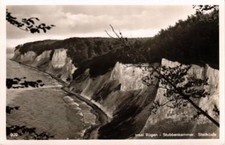 CPA AK Insel RÜGEN Stubbenkammer Steilküste GERMANY (662976)