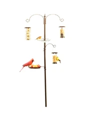 Deluxe Multi Bird, Versatile Feeding, Water Dish/Birdbath Station