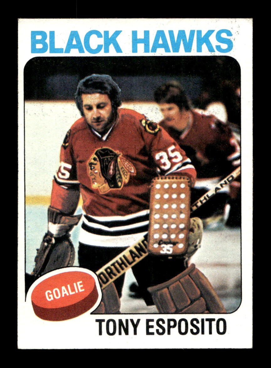 1975 76 Topps #240 Tony Esposito Blackhawks EX+ *1e