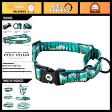 Heavy Duty Martingale Dog Collar with Quick Release Buckle for Training Walkin
