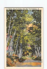 Postcard Driving along the Birches Ames Hill West Brattleboro VT Vermont