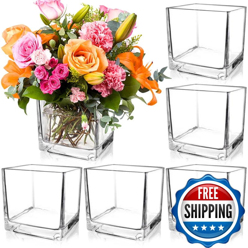 Piniwon 6 Pack Square Glass Vases 5 X 5 X 5 Inch Clear Cube Flower Vases For