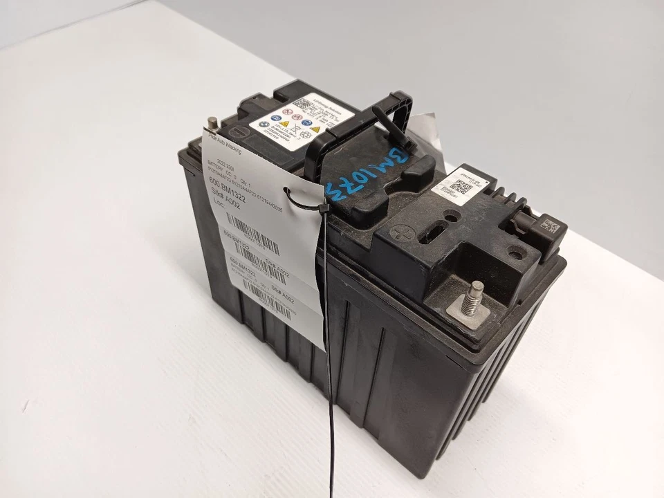 GENUINO BMW 12V LITIO DOBLE SISTEMA DE ALMACENAMIENTO 10AH Acumulador 10AH 132Wh 5A4AF23- Foto 3 de 4