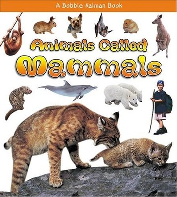 Animals Called Mammals (What K - VERY GOOD