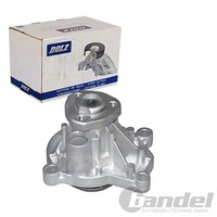 Dolz Wasserpumpe Passend FüR Seat Cordoba Ibiza Toledo Skoda Fabia Rapid Roomste