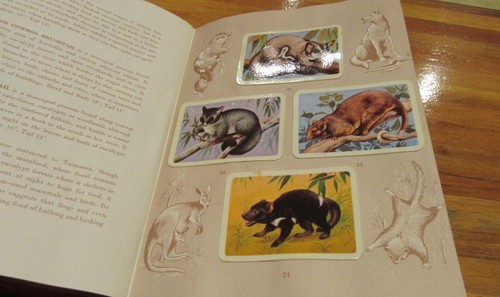 Tuckfields Australian ANIMALS ALBUM Filled & Complete ORIGINAL. HERE in MELB - Bild 8 von 12