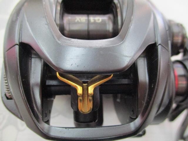 Daiwa Steez SV TW STEEZSVTW1016SV-SHL Baitcasting Reel for