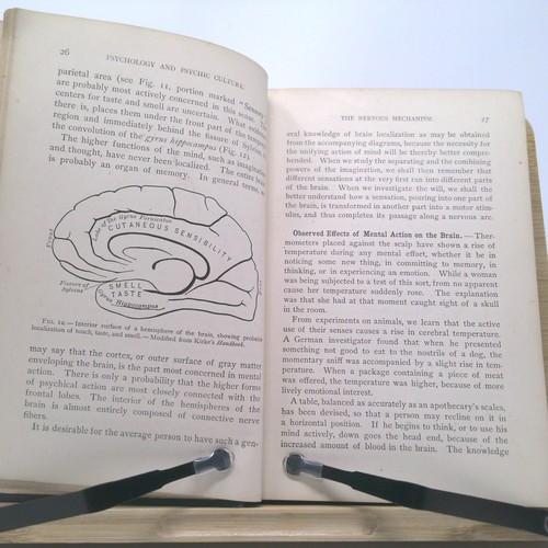 Psychology and Psychic Culture | First Edition | - Foto 4 di 5