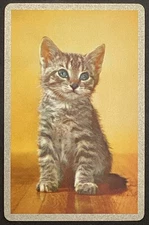 Kitten Cat Vintage Single Swap Playing Card