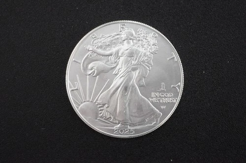2025 (P) American Silver Eagle $1 Coin Eagle Privy .999 Fine Silver US Mint