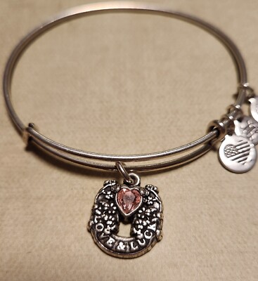 And Ani Lucky Charm Bracelet For Love Alex And Ani Charm Bracelet