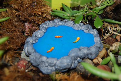 ebay fish pond accessories Blue Thumb Elite Complete Kit Small promoting optimal water clarity Set of 2 Koi Fish