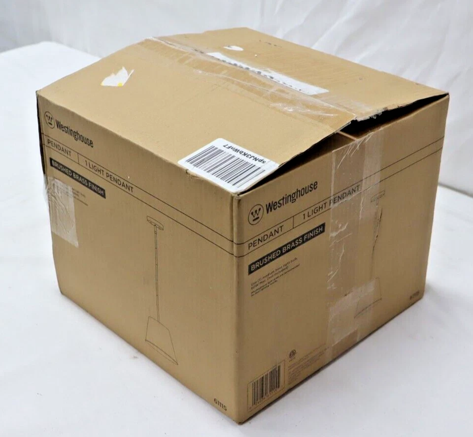 Westinghouse 6111500 Derose Transitional Una Luz Interior Colgante Luz Cepillada Foto 3 de 4