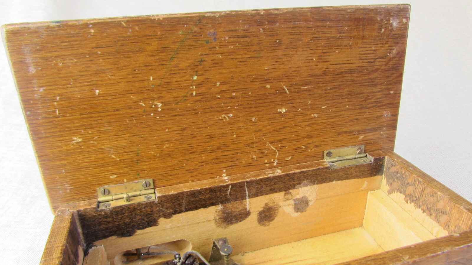 Bild 11 von 12