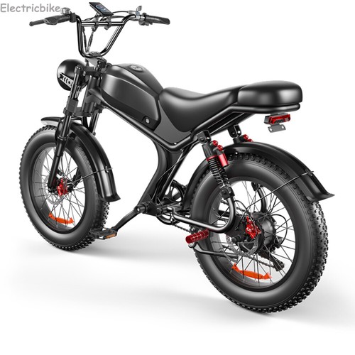 20" Fat Tire Electric Bicycle 48V 20Ah Hybrid Bike Offroad Commuter City E-bike - Picture 13 of 14
