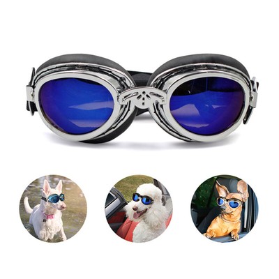 dog eye goggles