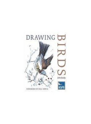 Drawing Birds (RSPB), Busby, John