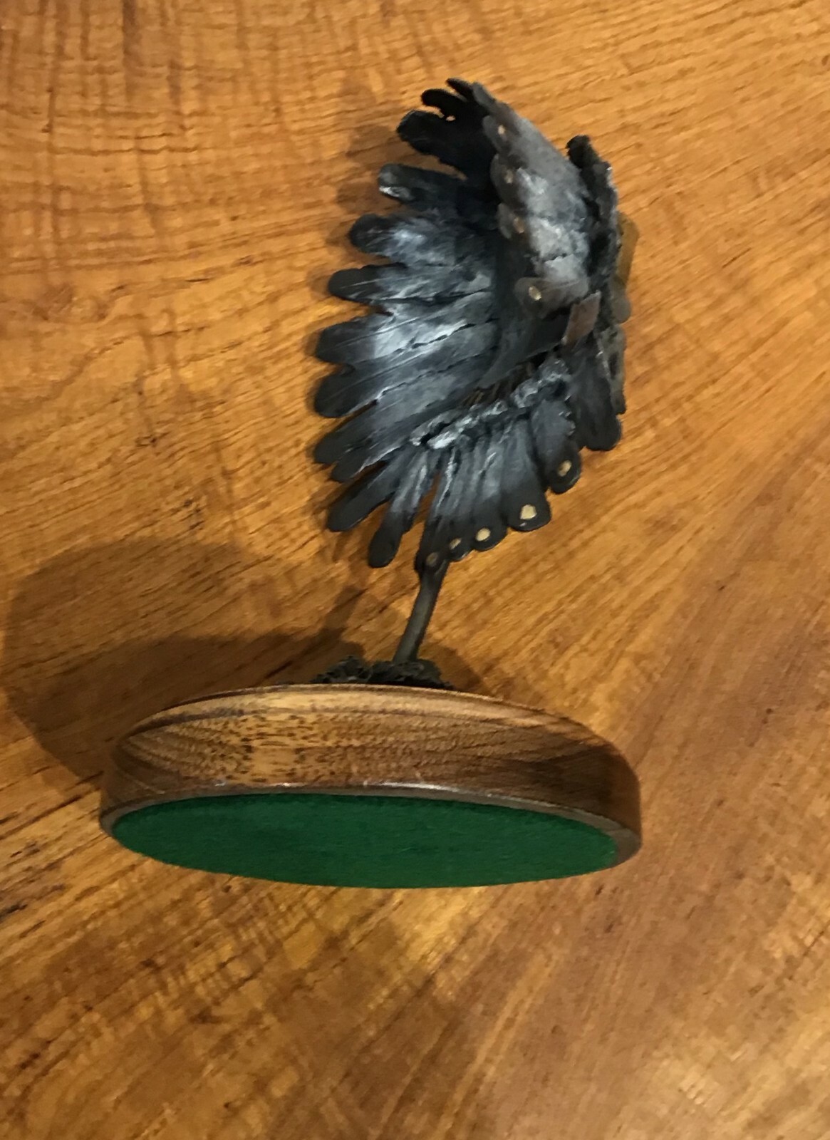 Picture 6 of 12