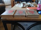 Vintage set of three books from "The Girl Scouts" series — photo 5