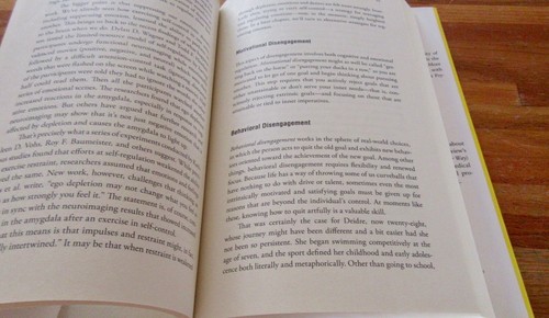 MASTERING the ART of QUITTING ~ Peg Streep & Alan Bernstein. HbDj HERE in MELB - Picture 11 of 12