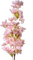 Clayre & Eef 5PL0131P Dekoration Zweig Mit Blumen Rosa 16X8X98 Cm