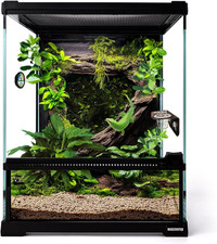 Mini Reptile Glass Terrarium Tank 8" 8" 10" Full View with Front Opening Door,Am