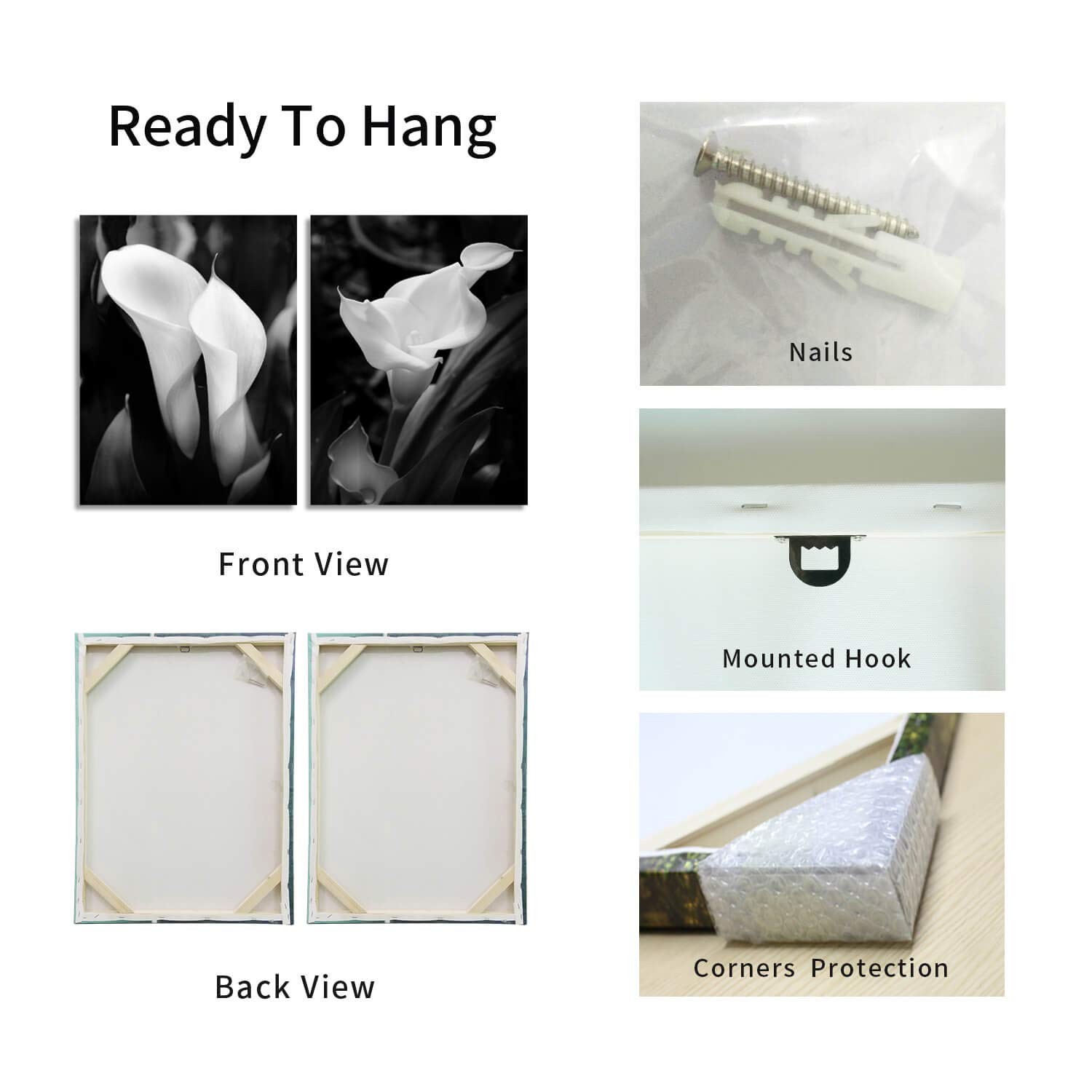 Calla Lily Flower Wall Art: Lilies on Black Background Photographic Print on ...