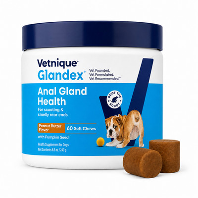 Vetnique Glandex Anal Gland Soft Chews 60ct Peanut Butter Dog Supplement