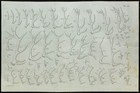 1836 - Bois de cervidés (Cerf & Daim) - Gravure de Paléontologie de Cuvier