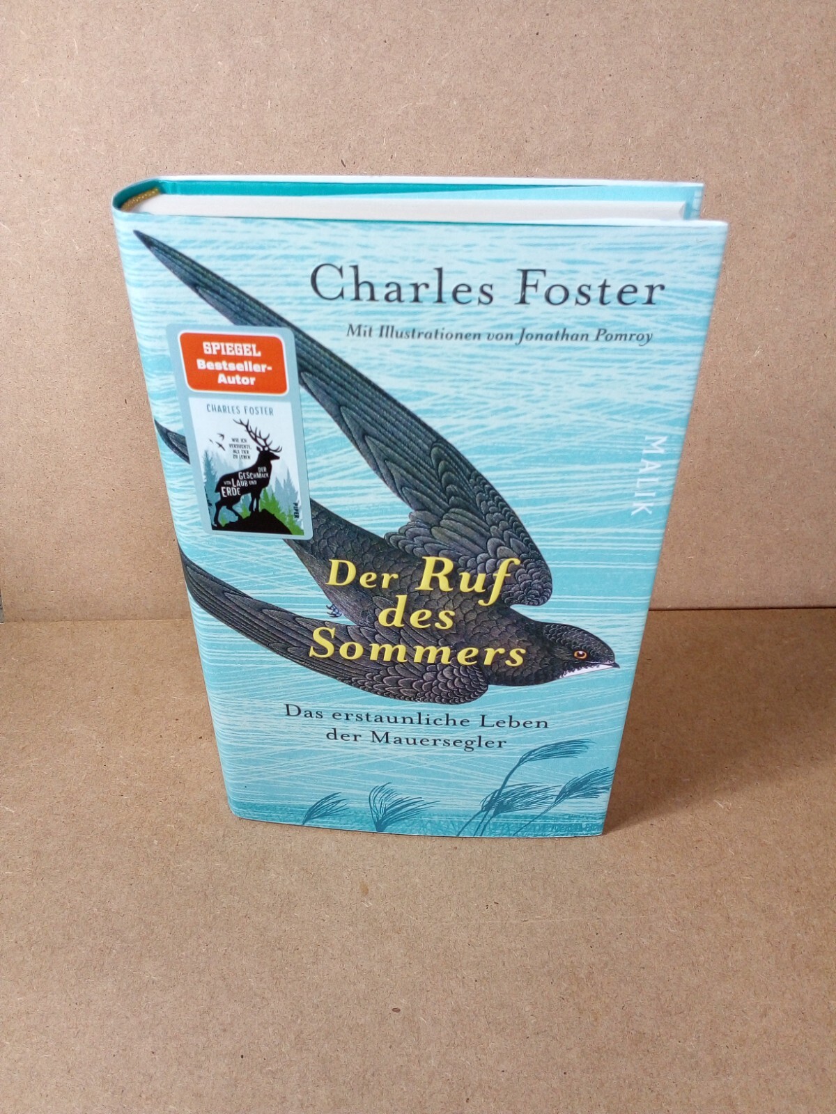 Thumbnail - Der Ruf Des Sommers