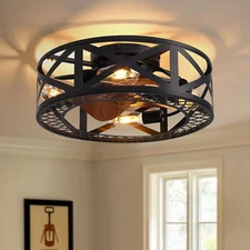 20" Caged Ceiling Fans with Lights, Modern Dimmable Flush Mount Ceiling Fan with