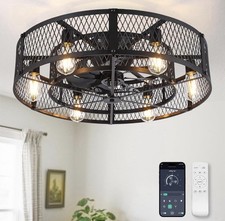 Caged Ceiling Fan with Light: 20 Inch Ceiling Fan with Remote APP Control