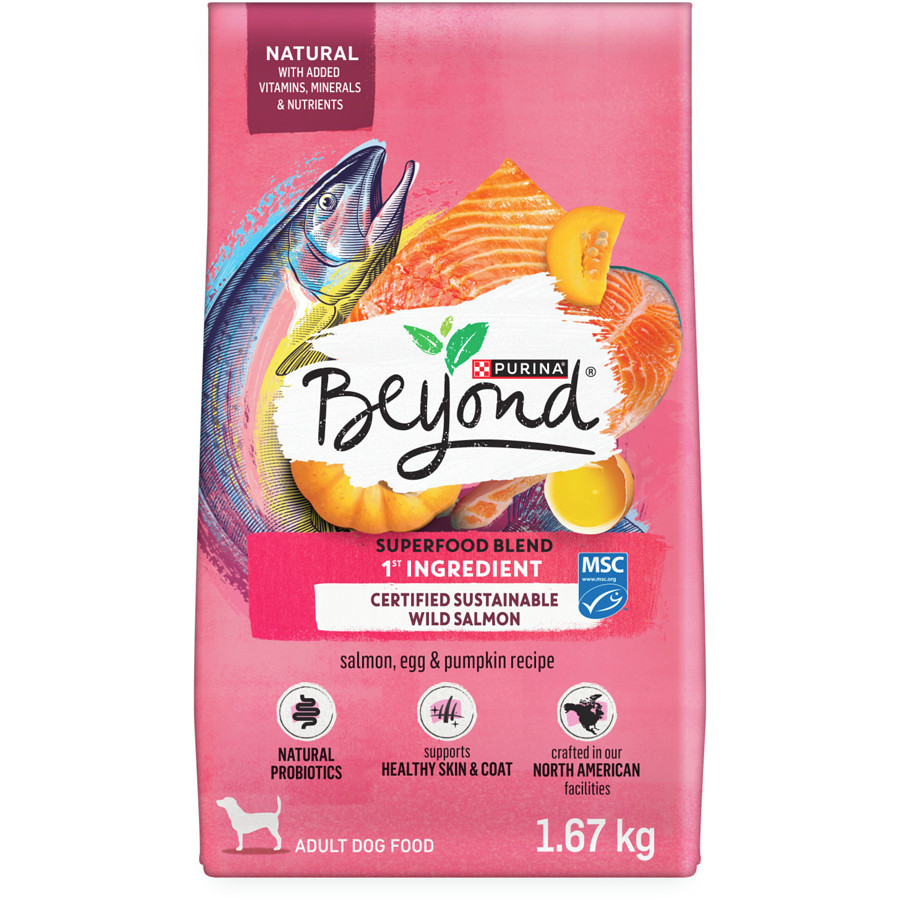 Blend Wild Caught Salmon, Egg & Pumpkin Recipe, Dry Dog