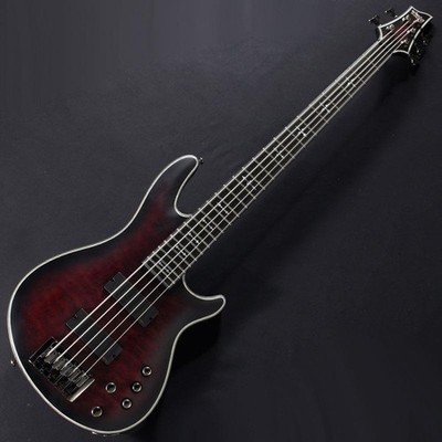 SCHECTER   Hellraiser Work-5 (no260702)