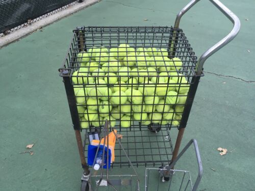 40 balles de tennis d'occasion - livraison gratuite - . Dogs play NO Ship Alaska Hawaii, P Rico - Photo 1 sur 2