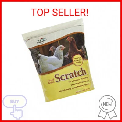 Manna Pro Ultimate Scratch Chicken Feed | Nutrient Rich Chicken Treat | 10 LB Ch