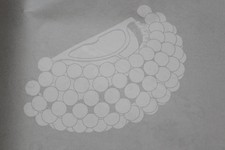 Foscarini Caboche Plus media R7s Wandlampe Wandleuchte Leuchte Lampe Licht grau