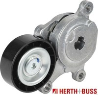 Herth+Buss Jakoparts J1141092 Riemenspanner FüR Keilrippenriemen