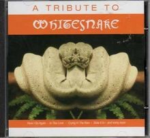 A Tribute To Whitesnake von POP / ROCK Compilation : TRIBUTES | CD | Zustand gut