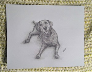Dettagli Su Disegno A Matita Di Un Labrador Stampa Firmata Da Originale Di Riposo Cane Animali Domestici Mostra Il Titolo Originale