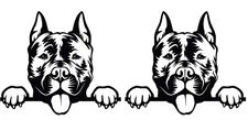 American Staffordshire Terrier TWO Black Vinyl Decals Car Windows Laptop Tablet